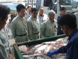 写真：農林水産委員会調査