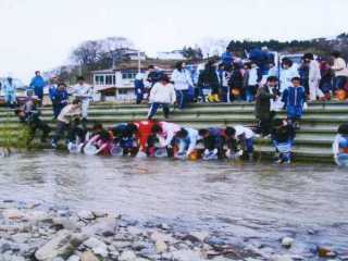 追良瀬川地元漁協 追良瀬川地元漁協