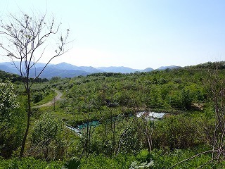 R0405180006