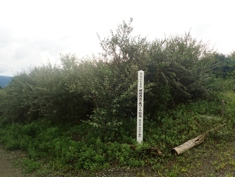 R0108300007