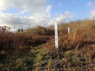 R0211110008