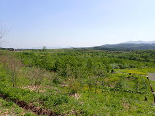 R0505180001
