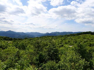 R0506200011