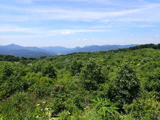 R0507240011