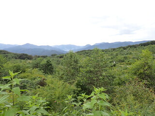 R0509260011