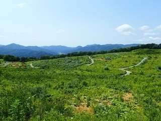 R0107100011