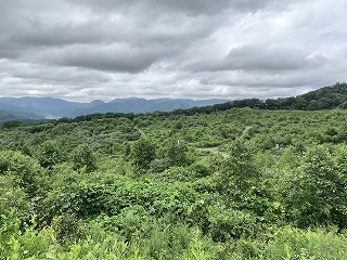 R0408050011