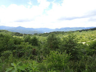 R0508290011