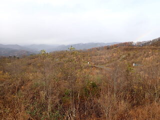 R0511240011