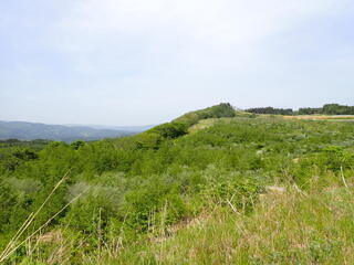 R0505180012