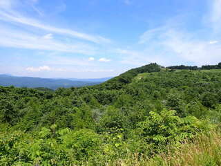 R0507240012