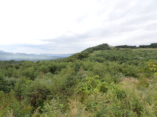 R0509260012