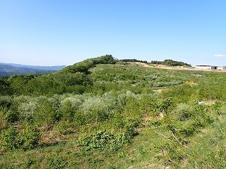 R0405180012