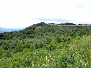 R0407040012