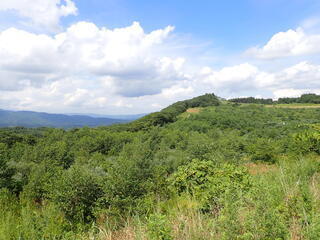 R0508290012