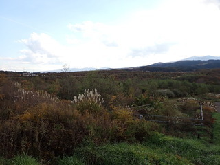 R0510260001