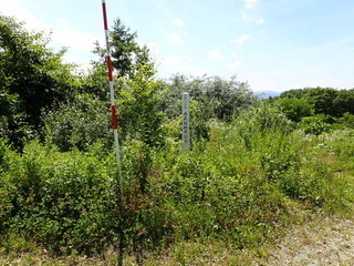 R0507240002