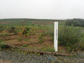 H2808290002