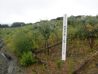H2808290007