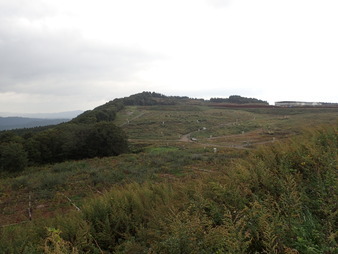 H2809280012
