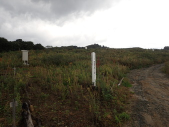 H2809280008