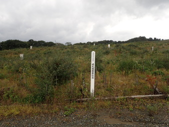 H2809280009