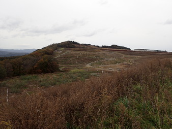 H2810280012