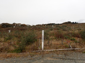 H2810280009