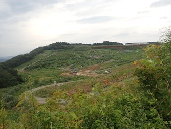 H2908240012