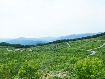 R0106040011