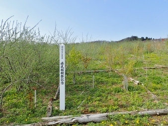 R0105080009