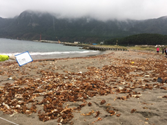 写真：東通村尻屋海岸