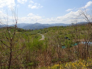 R0305120006