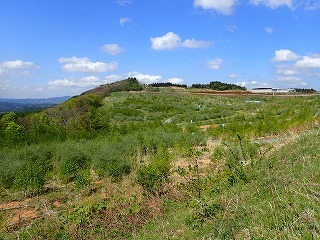 R0305120012