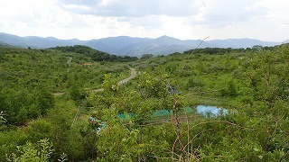R0306140006