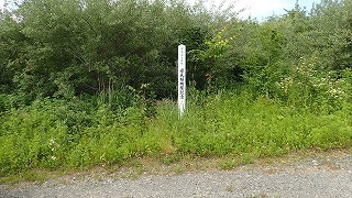 R0306140009