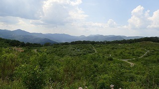 R0306140011