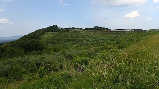 R0306140012