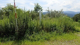 R0308060002