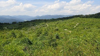 R0308060011