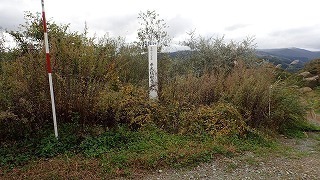 R0310140002