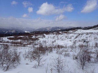 R0402250011