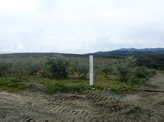 H3009290002