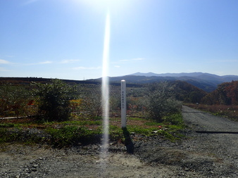 H3010260002