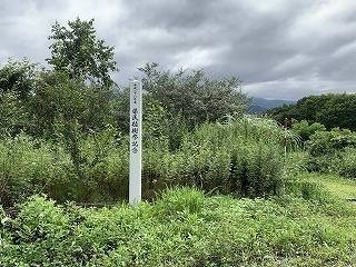 R0408050002