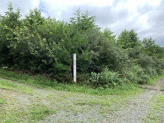 R0408050003