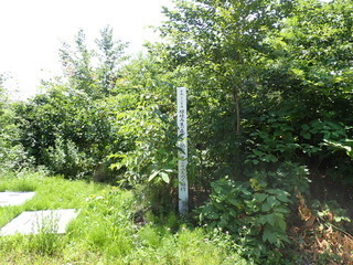 R0507240004