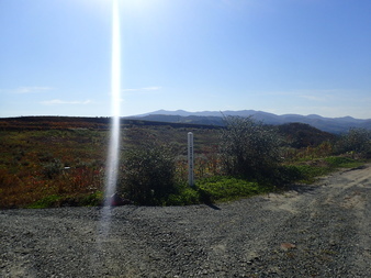 H3010260005