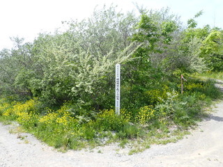 R0505180007