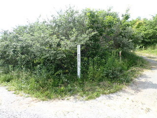 R0506200007